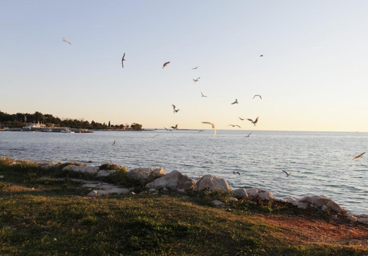 Apartments Zambratija With Sea View Bagian luar foto